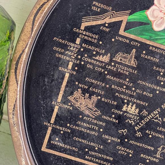 Vintage Round Black Tin Tray State Souvenir Serving Pennsylvania PA Pink Flower - Picture 4 of 7